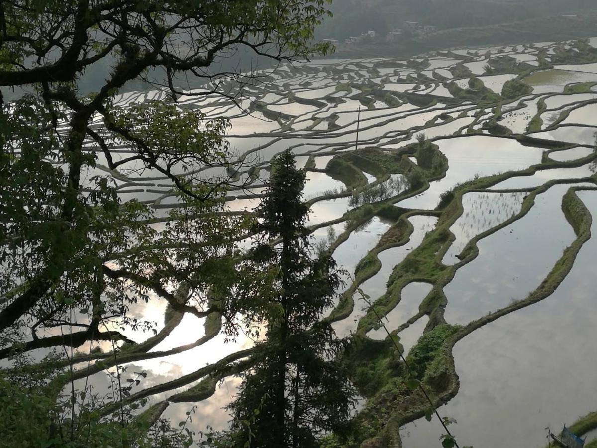 多依湾客栈havre De Paix Duoyiwan Hotell Yuanyang  Eksteriør bilde